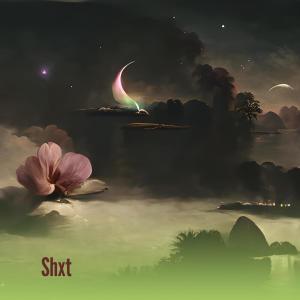 Listen to Shxt (Remastered 2022) song with lyrics from RAPSIK GANG