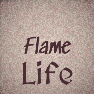 Various Artists的專輯Flame Life