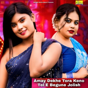 Listen to Amay Dekhe Tora Keno Tel E Begune Jolish song with lyrics from LABU BISWAS