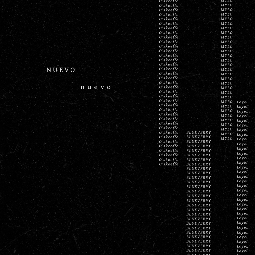 NUEVO - n u e v o