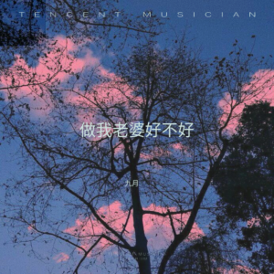 Listen to 做我老婆好不好 (杀我焉用感情刀 remix) (Remix) song with lyrics from 柒柒