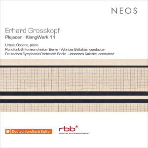 Deutsches Symphonie-Orchester Berlin的專輯Erhard Grosskopf: Plejaden, Op. 56 & KlangWerk 11, Op. 64 (Live)