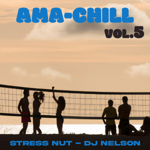 Album Ama-Chill, Vol. 5 from DJ Nelson