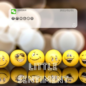 Listen to Little Sentiment (完整版) song with lyrics from DR.David