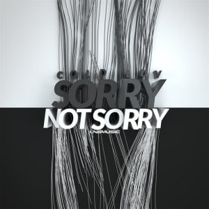 收聽Cold Luv的Sorry Not Sorry (Extended Mix)歌詞歌曲