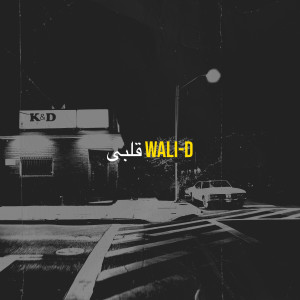 Listen to قلبى song with lyrics from Wali-D