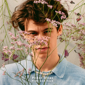ดาวน์โหลดและฟังเพลง Hide and Seek พร้อมเนื้อเพลงจาก Peder Elias