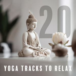 Album 20 Yoga Tracks to Relax (Buddha's Wheel, Body Flow, Chakra Sounds, Mindfulness Meditation) from 