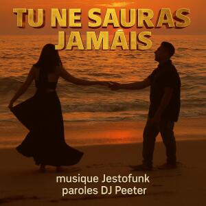 อัลบัม Tu ne sauras jamais (feat. jestofunk) ศิลปิน peeter briez