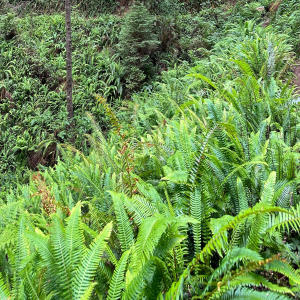 收聽CATVLYST的Other Worlds (feat. Vizcor)歌詞歌曲