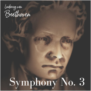 Dengarkan lagu Symphony No. 3 Eroica, Op. 55 - III. Scherzo Allegro vivace nyanyian Ludwig van Beethoven dengan lirik