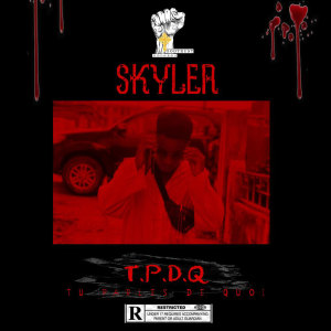 Album T.P.D.Q (Tu Parles De Quoi?) (Explicit) from Skyler