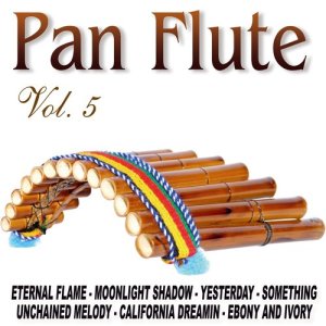 收聽The Instrumental Pan Pipes Band的Wind Of Change歌詞歌曲