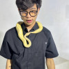 default album img