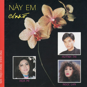 ดาวน์โหลดและฟังเพลง Ru Đời Đã Mất พร้อมเนื้อเพลงจาก Huynh Thi
