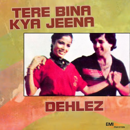 Mehfil Mein Sab Hein Pareshan (From "Tere Bina Kya Jeena")