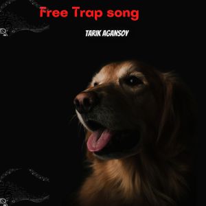 ดาวน์โหลดและฟังเพลง free trap song (Hiphop) พร้อมเนื้อเพลงจาก agansoy