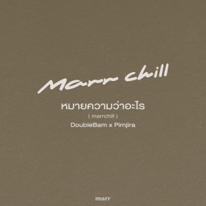 Listen to หมายความว่าอะไร (Cover) song with lyrics from DoubleBam