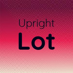 Various的专辑Upright Lot