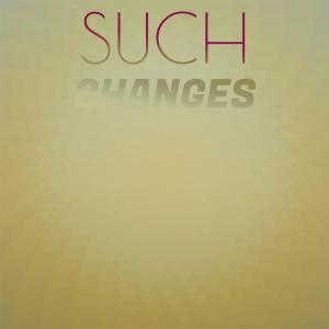 Various Artists的專輯Such Changes