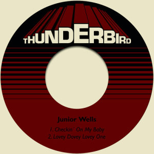 收聽Junior Wells的Checkin´ on My Baby歌詞歌曲