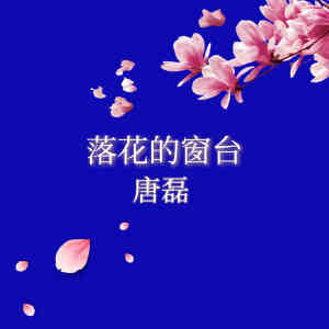 收听唐磊的我的兄弟歌词歌曲