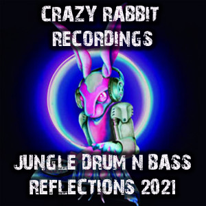 อัลบัม Crazy Rabbit Recordings Jungle Drum and Bass Reflections 2021 (Explicit) ศิลปิน Various Artists