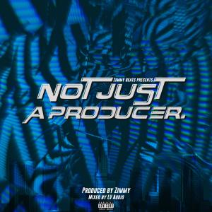 收聽Zimmy的Professional Overthinker (feat. Money Mark) (Explicit)歌詞歌曲