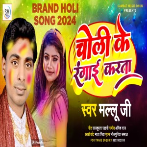 ดาวน์โหลดและฟังเพลง Choli Ke Rangai Karta พร้อมเนื้อเพลงจาก Mallu Ji