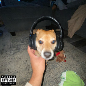Listen to Red Ribbons (Explicit) song with lyrics from Devyn Amana