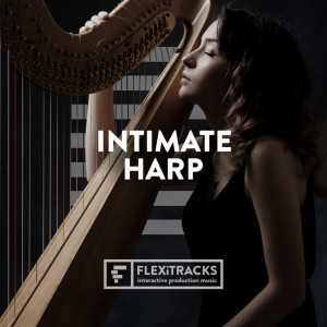 Joe Hearson的專輯Intimate Harp