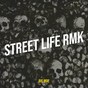 Album Street Life Rmk from Big Moe