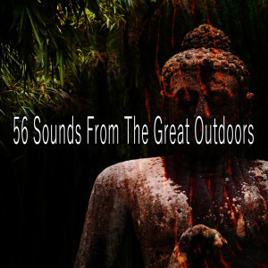 56 Sounds From The Great Outdoors