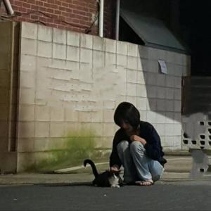 收聽Sheap的trust歌詞歌曲