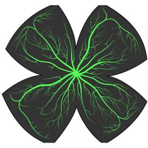 Dengarkan Summer Night lagu dari Heal dengan lirik