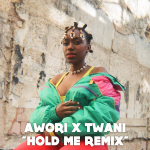 Listen to Hold Me (Twani Remix) song with lyrics from Awori