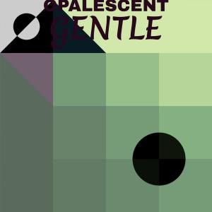 Various的专辑Opalescent Gentle