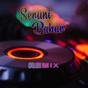 Album Raiso (Remix) oleh Seruni Bahar