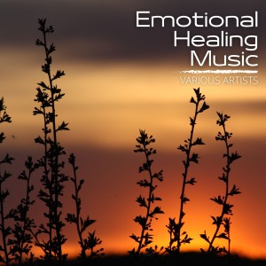 Listen to Every Night Every Day song with lyrics from Wavezze