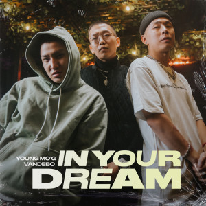 Album In Your Dream from Vandebo