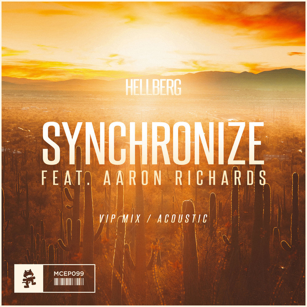 Synchronize (Acoustic)
