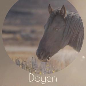 Album Doyen from 