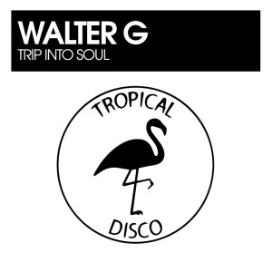 收聽Walter G的Trip Into Soul (Original Mix)歌詞歌曲