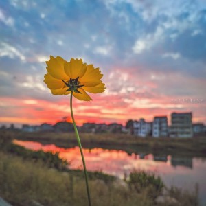 收听Helena Kim的A Good Song To Listen To In The Evening歌词歌曲
