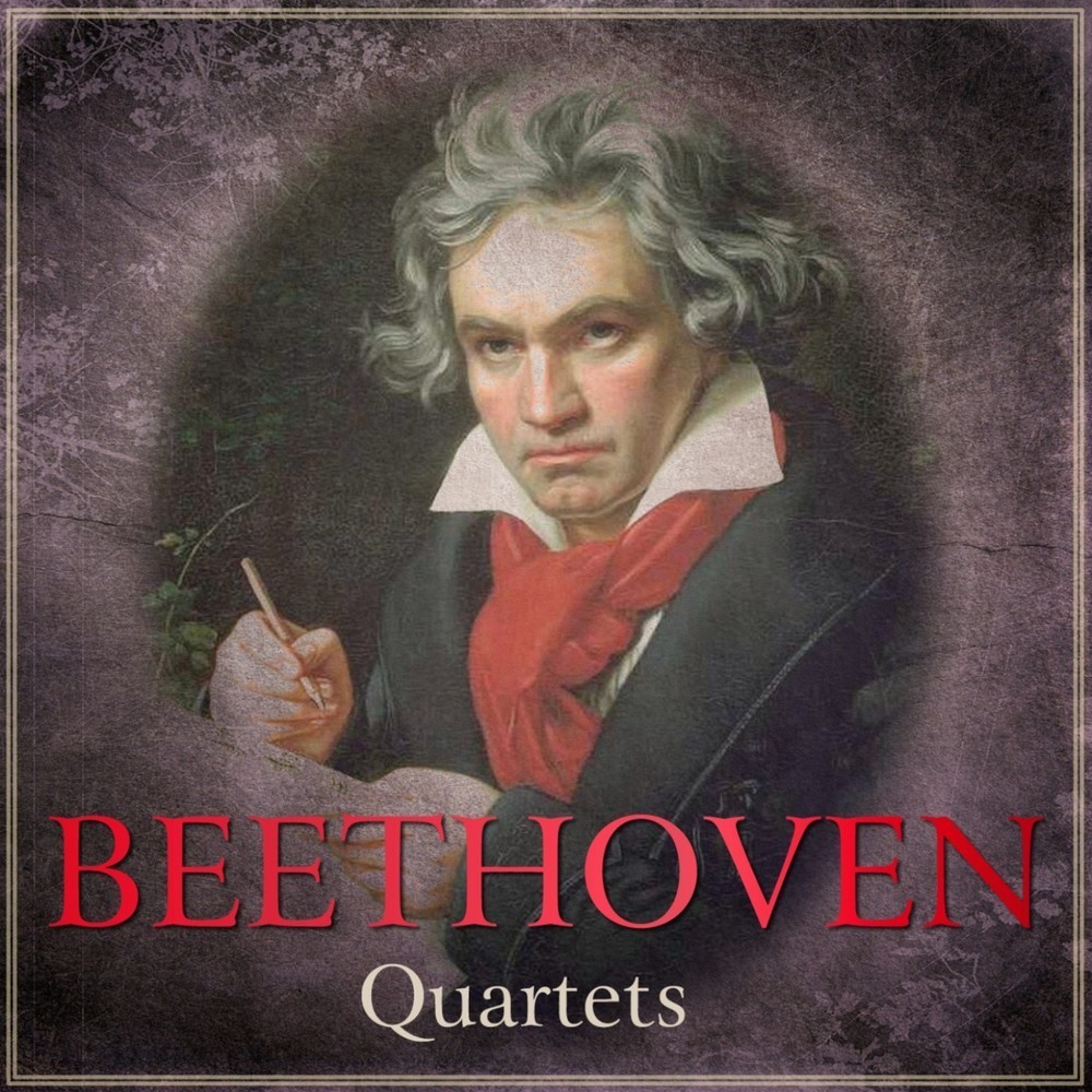 String Quartet in B Flat Major, Op. 18, No. 6, Second Movement: Adagio Ma Non Troppo