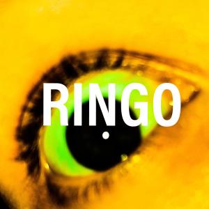 收聽JOHNNY的RINGO歌詞歌曲