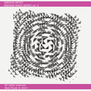 Various Artists的專輯Premium Mood Series, Vol. 5