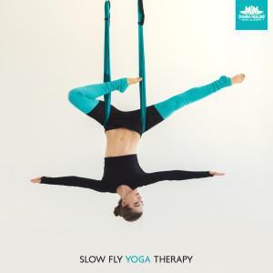 Slow Fly Yoga Therapy (Culmination of Pleasure) dari Chakra Healing Music Academy