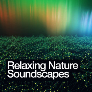 ดาวน์โหลดและฟังเพลง Lake Life พร้อมเนื้อเพลงจาก Nature Sounds
