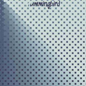 Dengarkan Hummingbird lagu dari Les Paul & Mary Ford dengan lirik